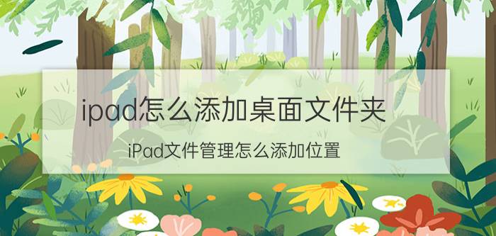 ipad怎么添加桌面文件夹 iPad文件管理怎么添加位置？